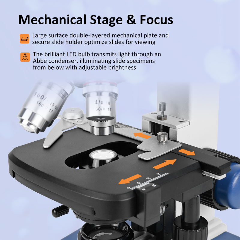 40X-2500X Professional Biologi - Microscope Compound 40X 评论和价格