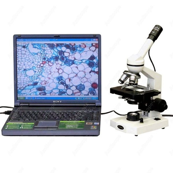 AmScope M600 Series Student Mo - Microscope Compound 40X 评论和价格