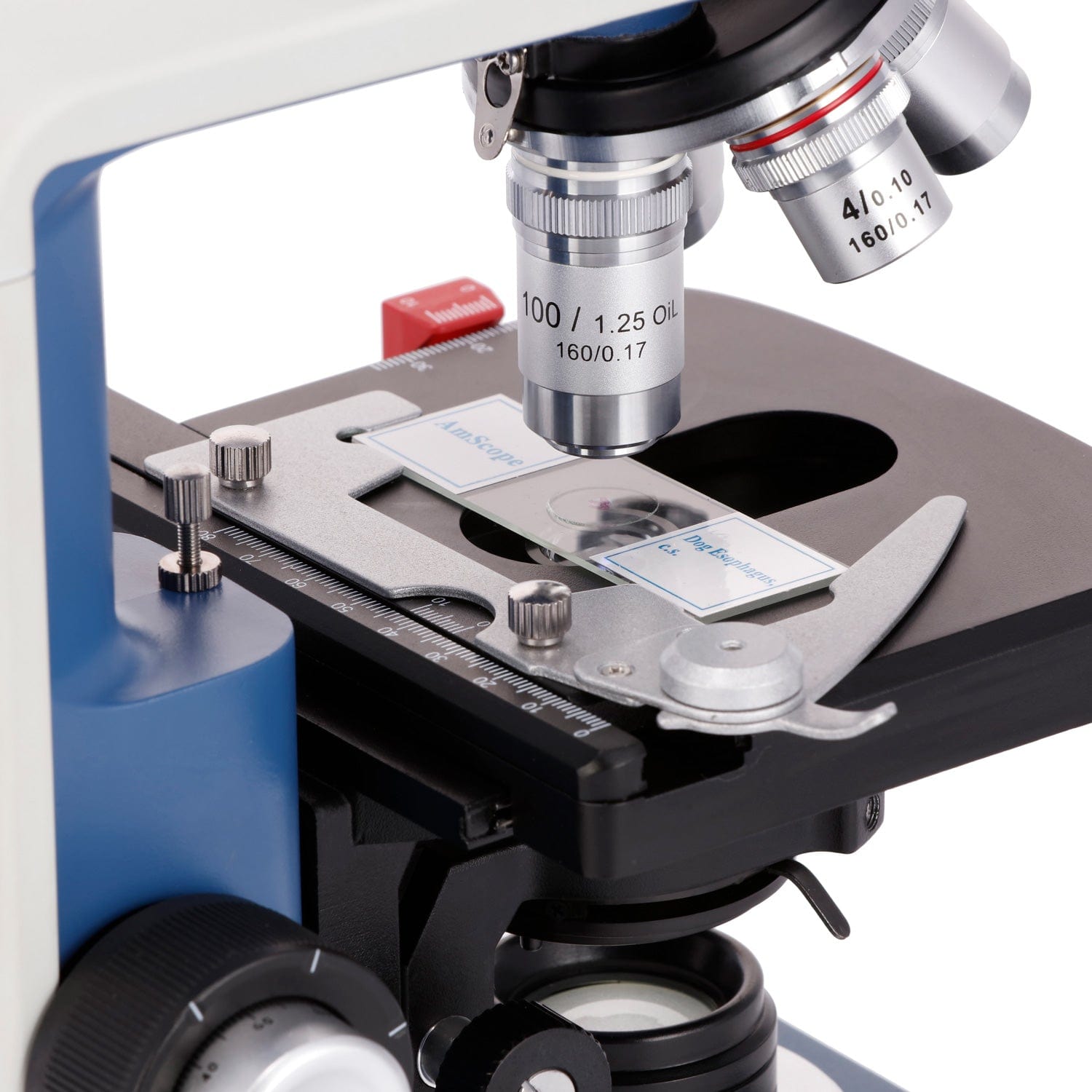 AmScope  40X-2500X Magnificati - Microscope Compound 40X 评论和价格