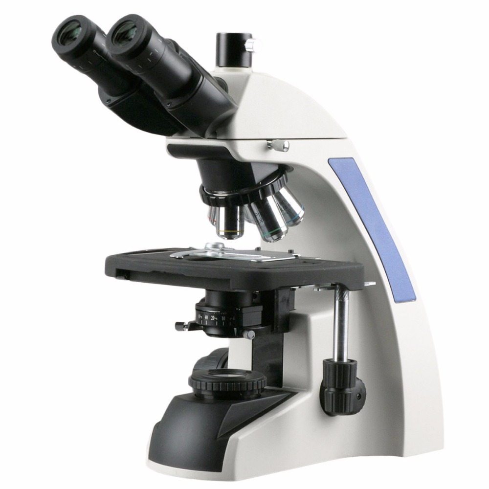 AmScope T720 Series Infinity-C - Microscope Compound 40X 评论和价格