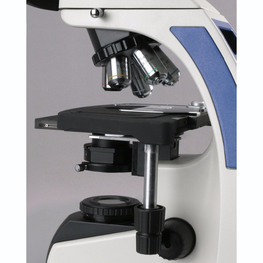 AmScope T720 Series Infinity-C - Microscope Compound 40X 评论和价格