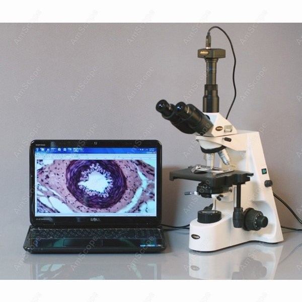 AmScope 40X-2500X Infinity Koh - Microscope Compound 40X 评论和价格