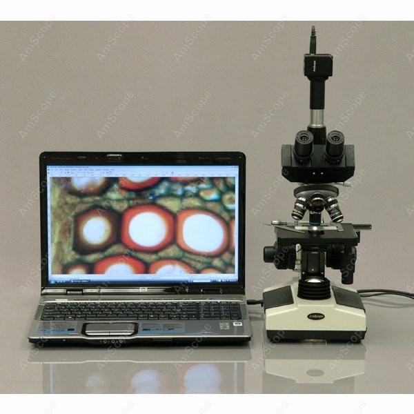 AmScope T390 Series Biological - Microscope Compound 40X 评论和价格